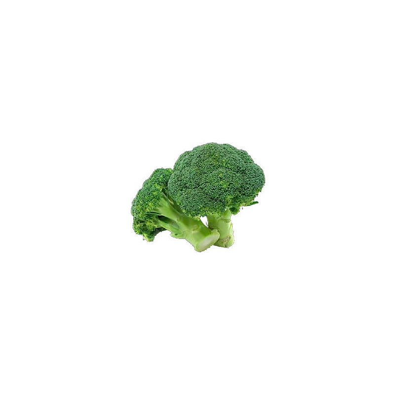 Broccoletto